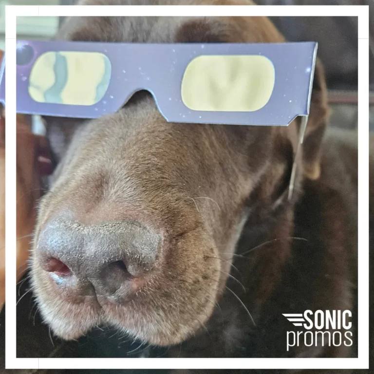 Sonic Promos dog glasses