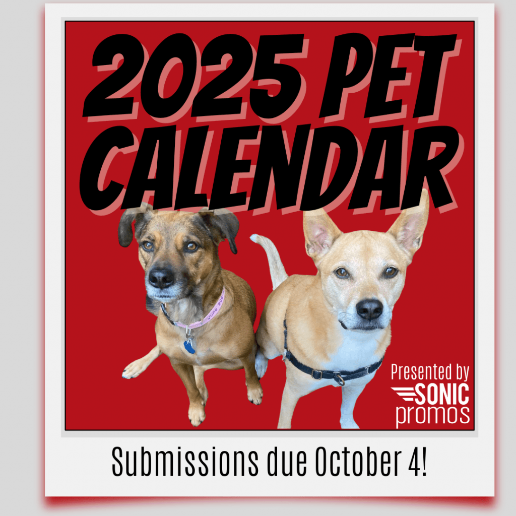 Two adorable dogs are centered in an illustration of a polaroid frame. Text: "2025 pet calendar presented by Sonic Promos. Submissions due October 4!"